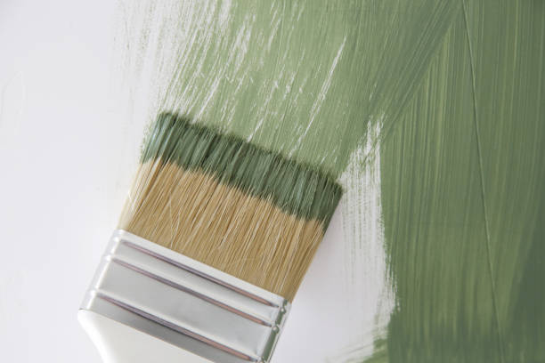Best Commercial Mold Inspection  in South Chicago Heights, IL