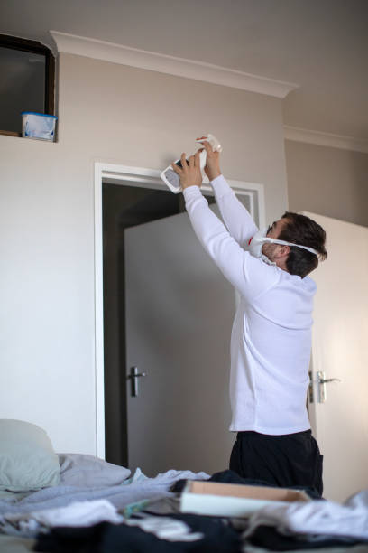 Best Mold Odor Removal Services  in South Chicago Heights, IL