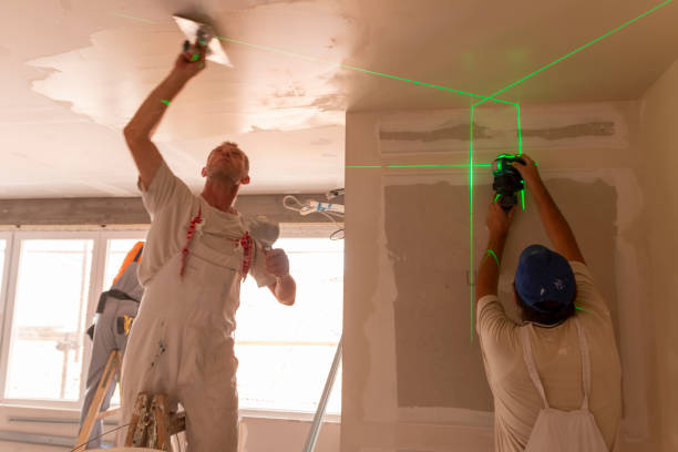 Best Mold Remediation for Healthcare Facilities  in South Chicago Heights, IL