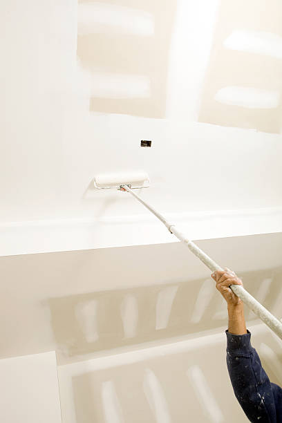 Best Mold Damage Restoration  in South Chicago Heights, IL