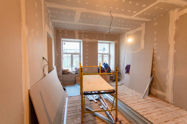 Best Residential Mold Inspection & Testing  in South Chicago Heights, IL