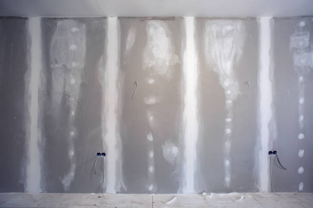 Best Flood Damage  in South Chicago Heights, IL